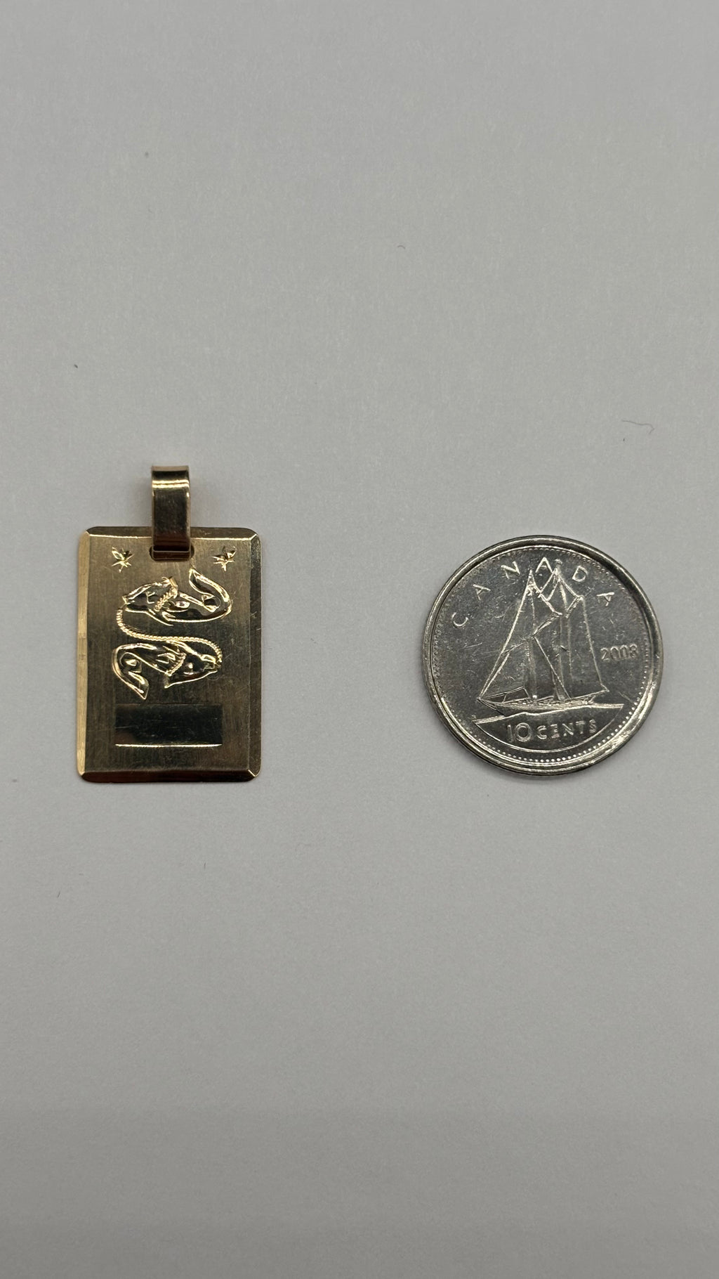 14k solid gold Pisces dog tag style charm next to Canadian 10 cent coin for size reference