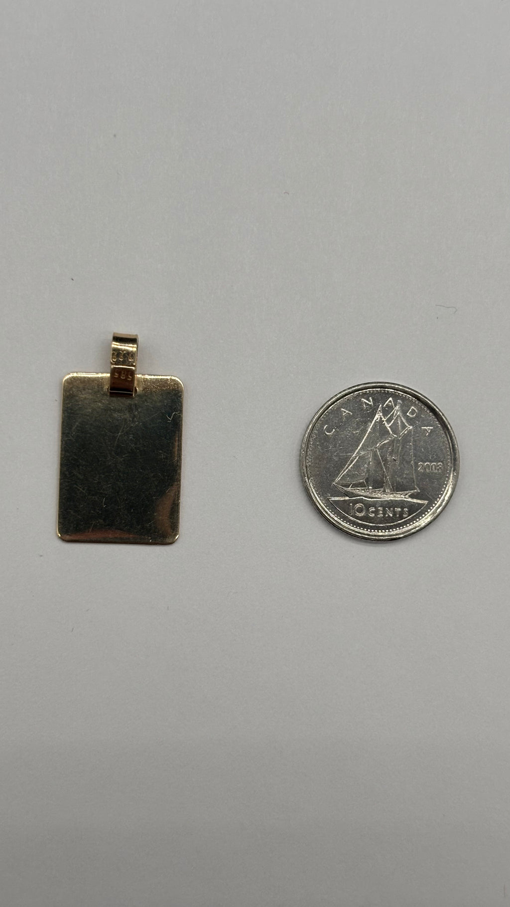 Back of 14k solid gold Pisces dog tag style charm next to Canadian 10 cent coin