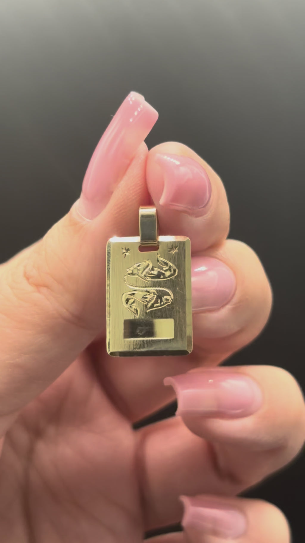 14k solid gold Pisces dog tag style charm moving side to side